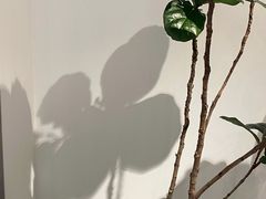 -不正咖啡(万达尊店)