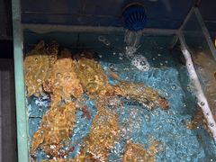 -好兄弟郭巨海鲜(天一阁店)