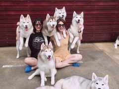 -TrueLove @ Neverland (Husky Cafe)