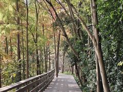 -西溪国家湿地公园