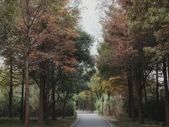 -西溪国家湿地公园