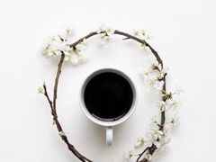 -参差咖啡(水果湖公园店)