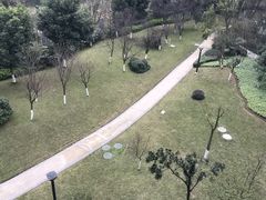 -重庆彩云湖湿地公园