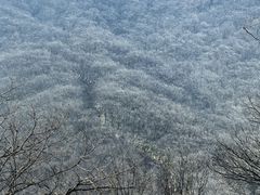 -安吉龙王山风景区