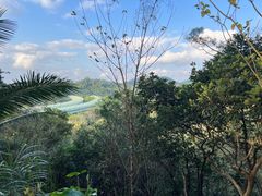 -深圳仙湖植物园