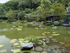 -云溪植物园