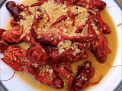 -杨氏青龙虾·羊蝎子(托乐嘉店)