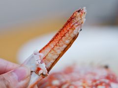 -霞山水产品批发市场