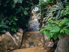 -郑州植物园