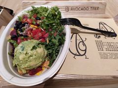 -油梨树AVOCADO TREE(嘉里中心店)