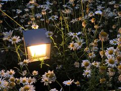 -江苏省苏州实验中学