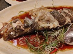 -新吉士·上海菜(浦东LCM置汇旭辉店)