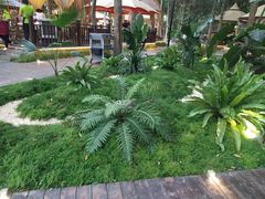 -二荆条·蜀鲜汇城市森林火锅