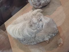 -烟台自然博物馆