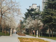 -木塔寺遗址生态公园