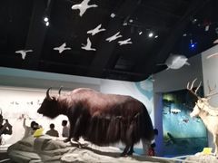 -中国湿地博物馆