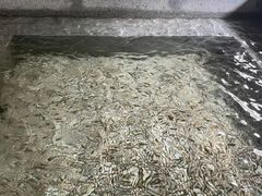 -明谷行馆·温泉