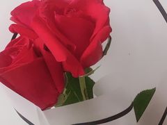 -日月永和中国餐饮名店(凤凰店)