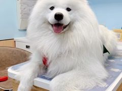 -达爱动物医院·犬猫分区·CT·复杂眼科(远洋山水分院)