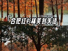-滨湖塘西河公园