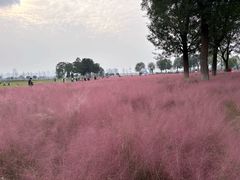 -汉长安城未央宫国家考古遗址公园