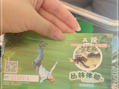 -西双版纳原始森林公园