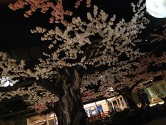 -蓝鲸湾汤泉(包河店)