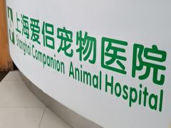 -爱侣宠医·鹦鹉专科·小型哺乳类·异宠专科(灵石路店)