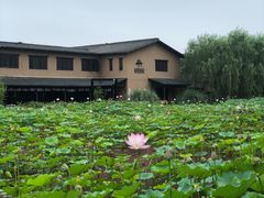 -百翠山居.家飨餐厅