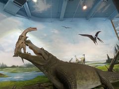 -南京汤山紫清湖生态旅游温泉度假区