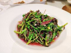 -香雪海饭店中餐厅(人民桥店)