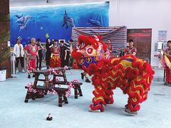 -黄金海岸水上乐园