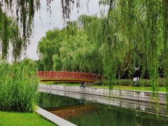 -元大都城垣遗址公园