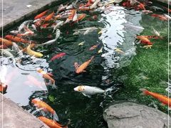 -观音桥步行街