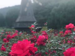 -北京宽沟会议中心