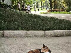 -荔香公园