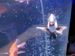 -福州罗源湾海洋世界旅游区