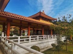 -三水森林公园