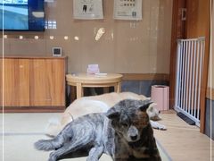 -大江户·温泉洗浴(浑南店)