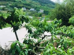 -玫瑰庄园·自助烧烤·烤全羊·团建拓展(龙泉山店)