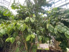 -歌斐颂巧克力小镇