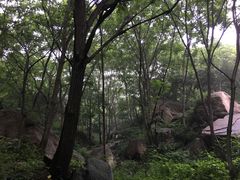 -大岭沟猕猴桃谷风景区