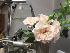 -植物学家的女儿(北马道巷店)