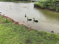 -琅岐红光湖公园