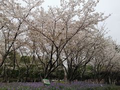 -白塘生态植物园
