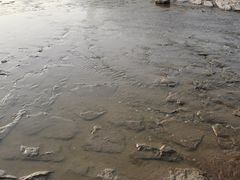 -奉贤海滩