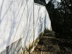 -上海佘山国家森林公园天马山园