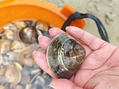 -北海金海湾红树林生态旅游区