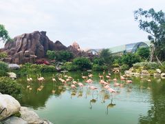 -芽庄珍珠岛游乐园