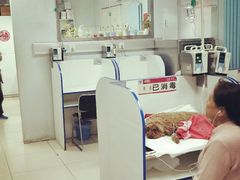 -北京观赏动物医院·24小时大型综合·猫专科·异宠专科